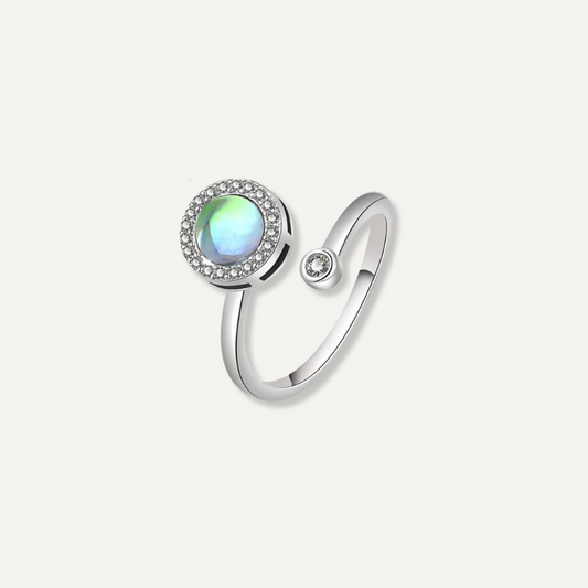 Anillo antiestres neptune plata product image